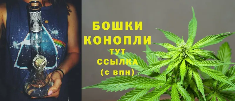 Марихуана White Widow  купить  цена  дарк нет наркотические препараты  Гай 